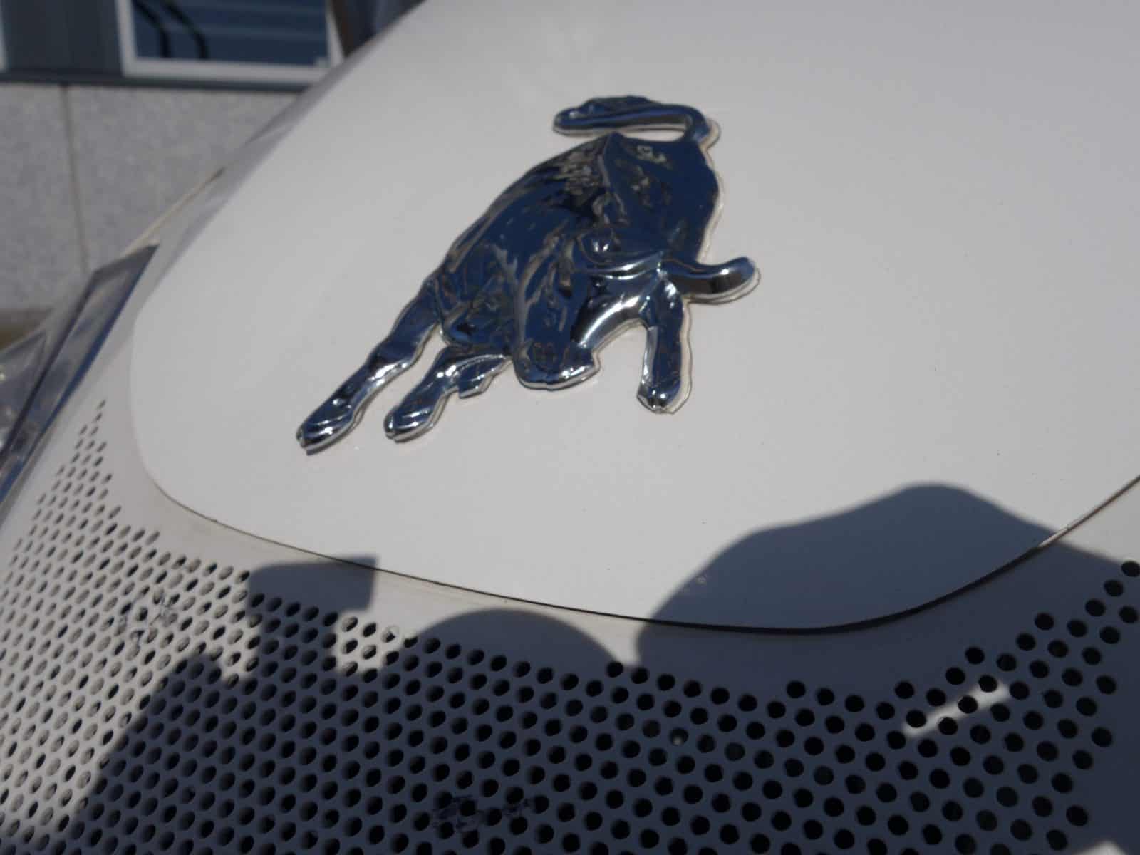 Lamborghini G27H 4wd HST - Afbeelding 7