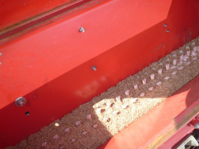 R2 MTZ150 Rotorkopeg - Afbeelding 8