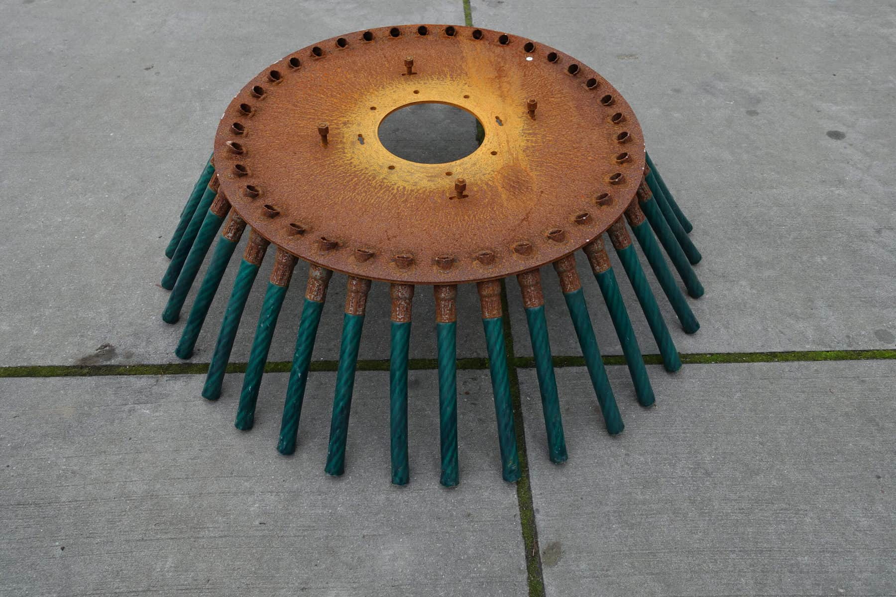 Tarpan Pro Onkruidborstel - Afbeelding 19