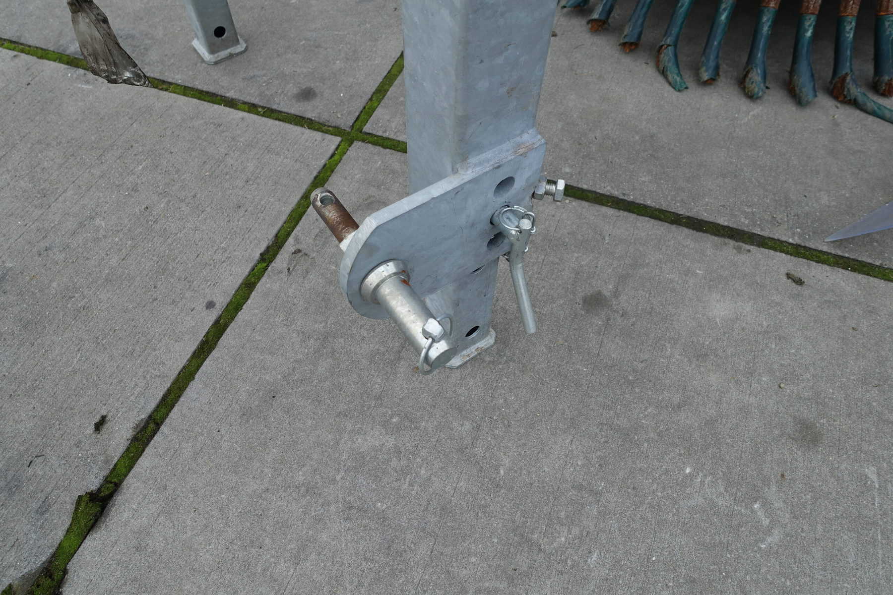 Tarpan Pro Onkruidborstel - Afbeelding 5